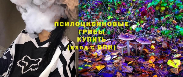 PSILOCYBIN Богородицк